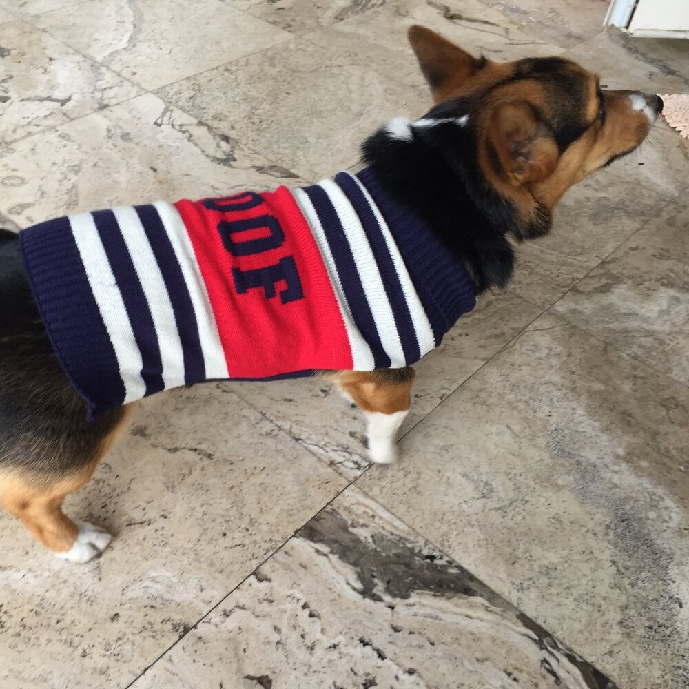 Pup Crew Dog Sweater